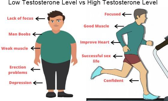 high testosterone level
